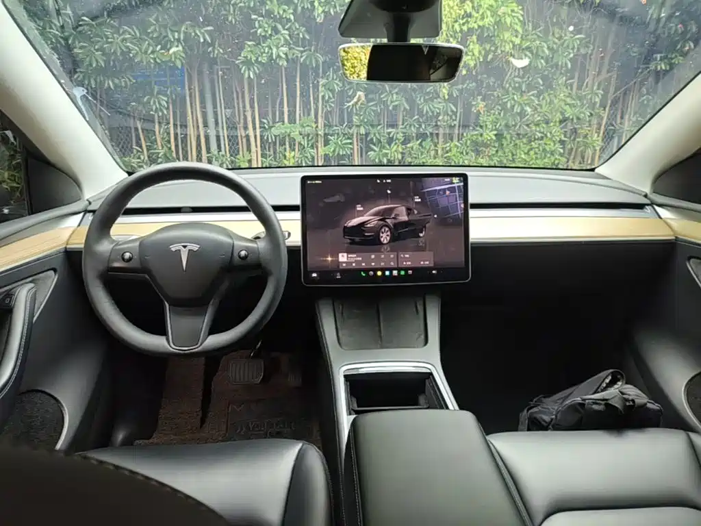 Tesla Model Y — миниатюра 10