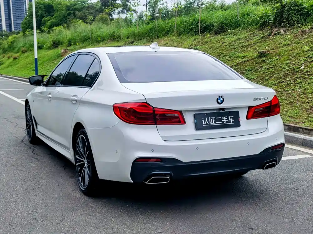BMW 5 Series — миниатюра 5