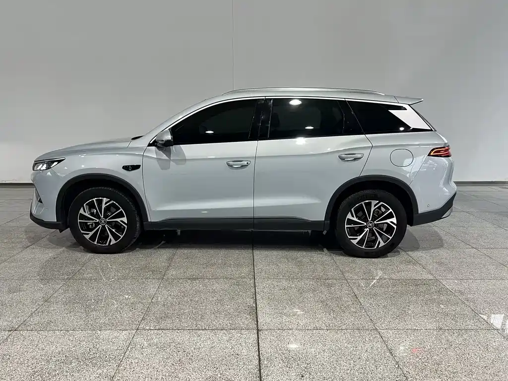 BYD Pro New Energy — миниатюра 2