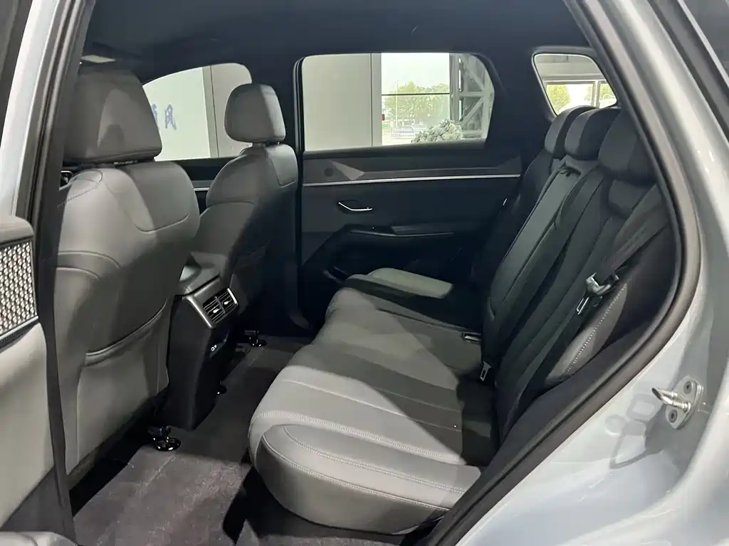 BYD Pro New Energy — миниатюра 33