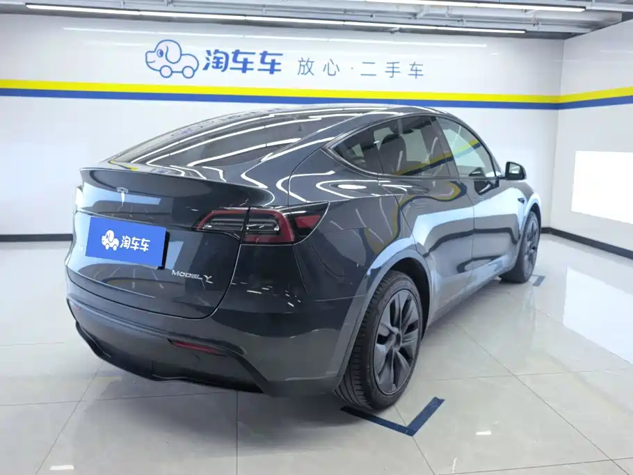 Tesla Model Y — миниатюра 3