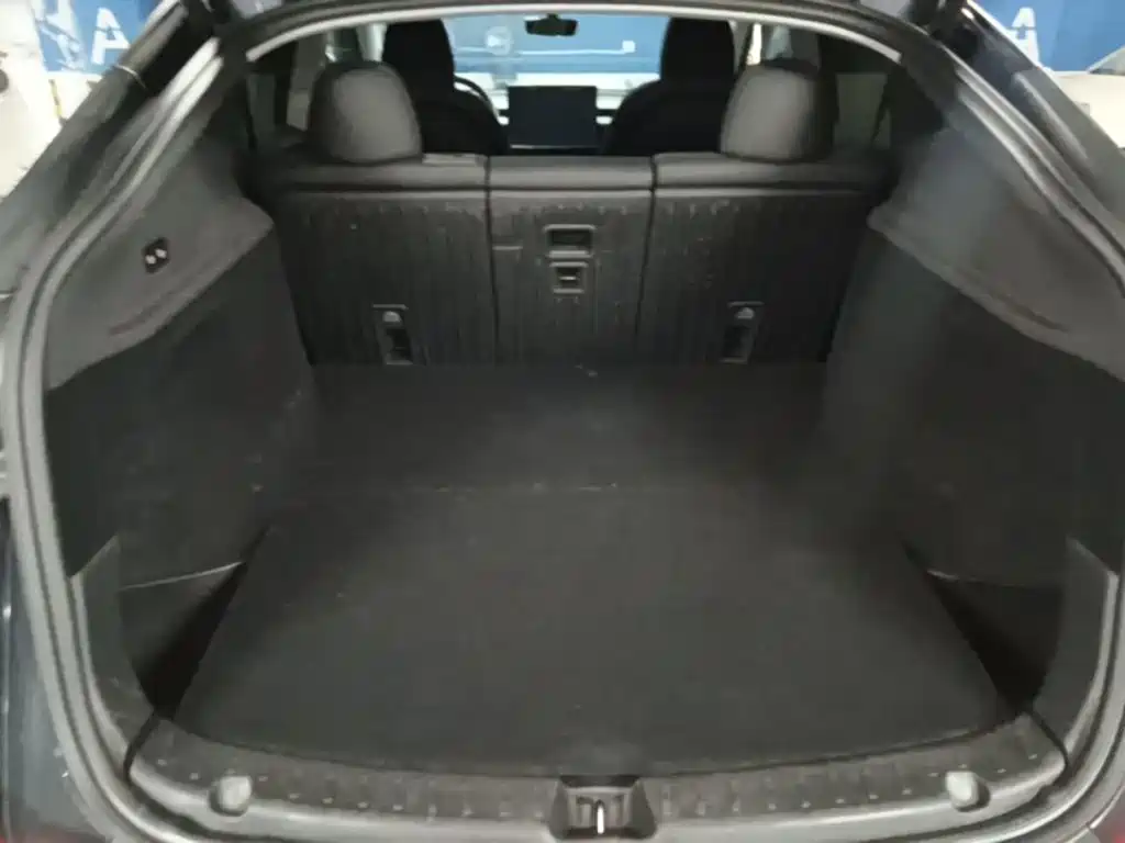 Tesla Model Y — миниатюра 19