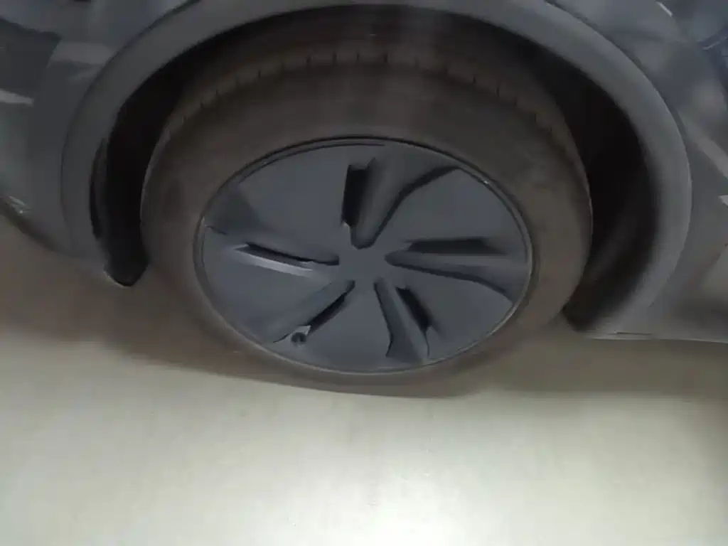 Tesla Model Y — миниатюра 23