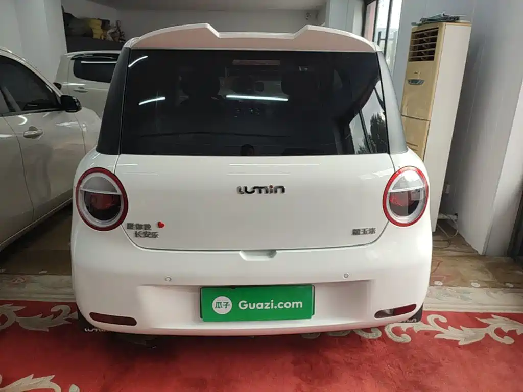 Qiyuan Lumin — миниатюра 6