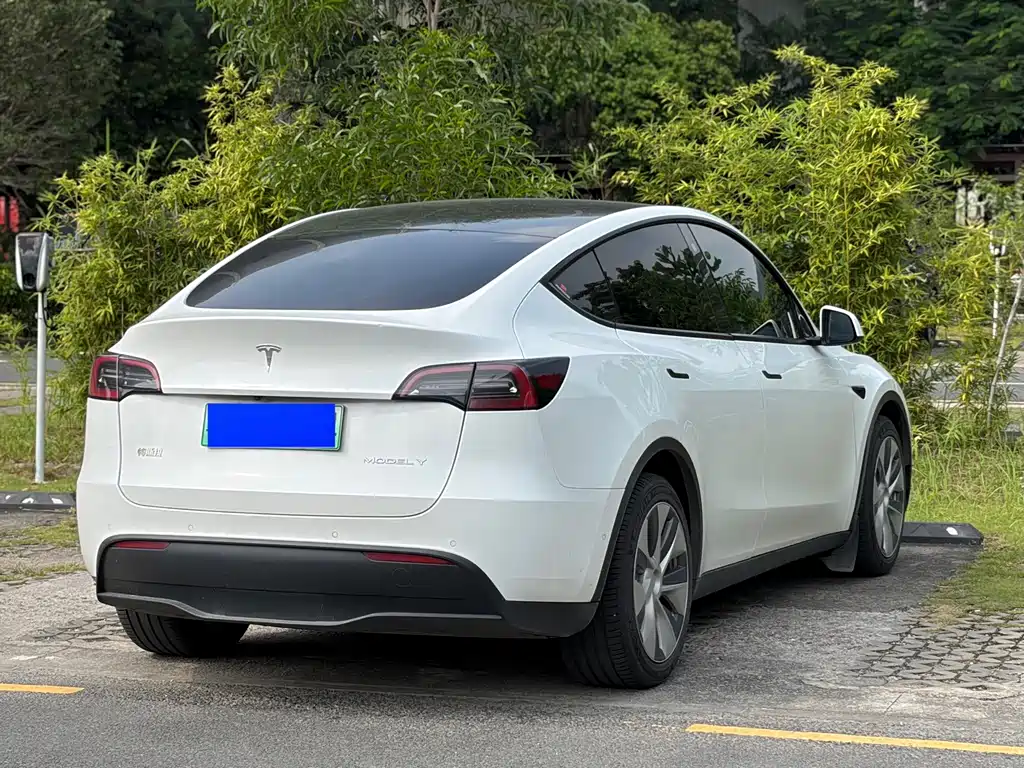 Tesla Model Y — миниатюра 10