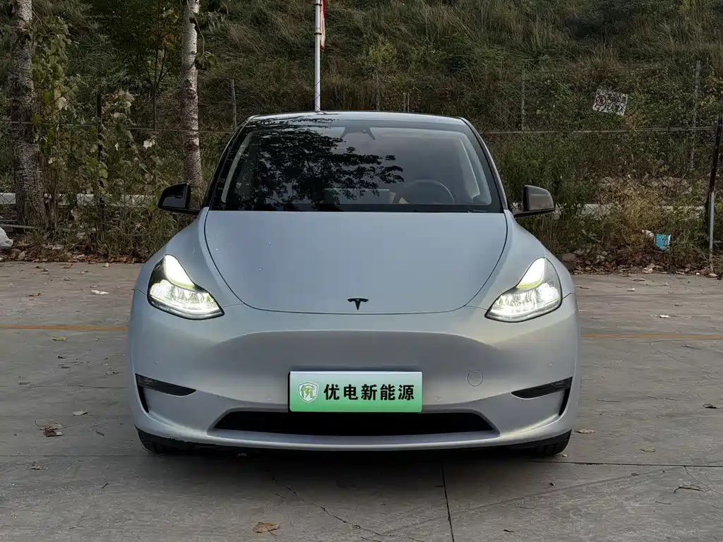 Tesla Model Y — миниатюра 5
