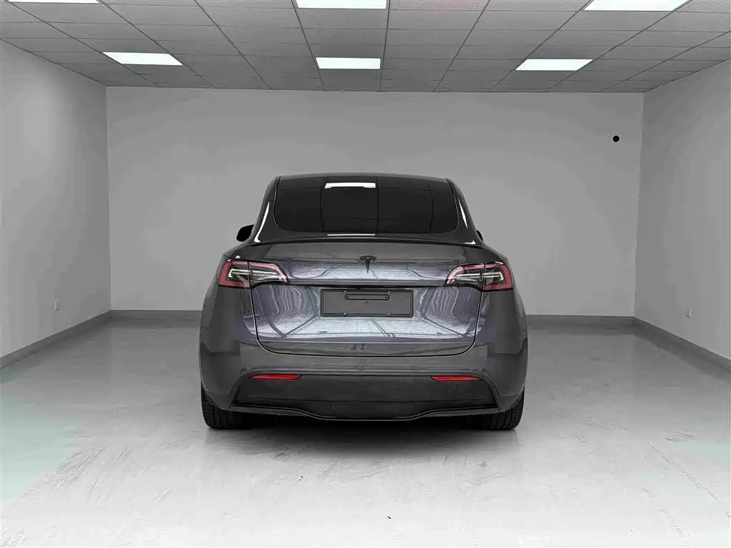 Tesla Model Y — миниатюра 18