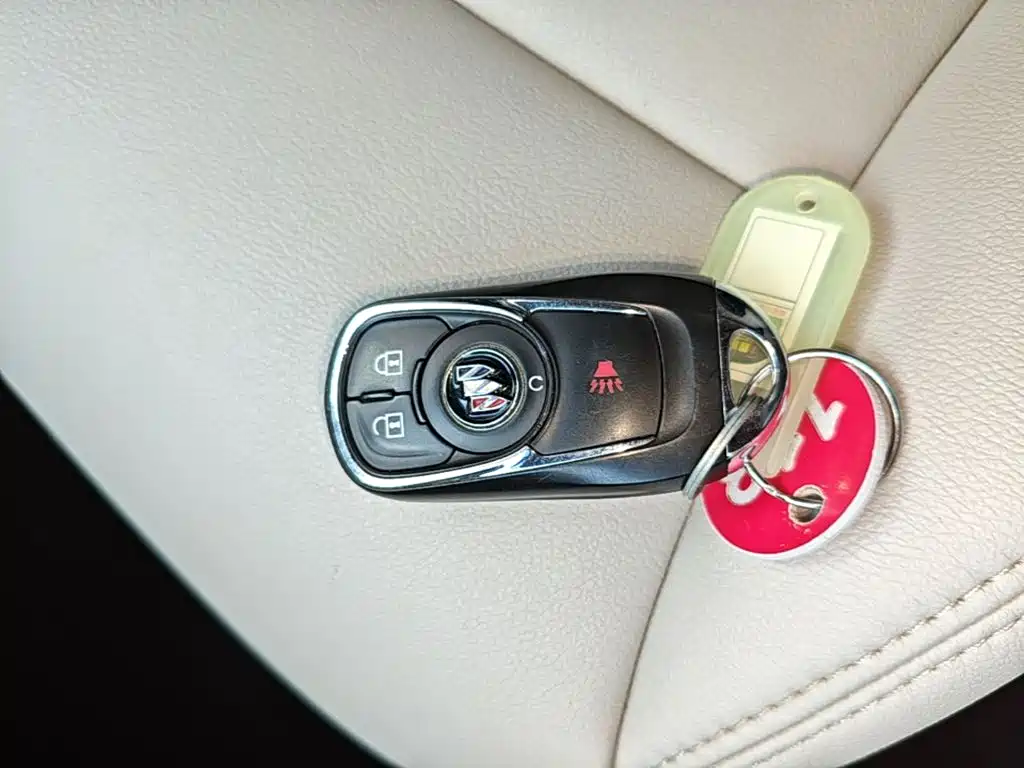 Buick GL8 — миниатюра 9