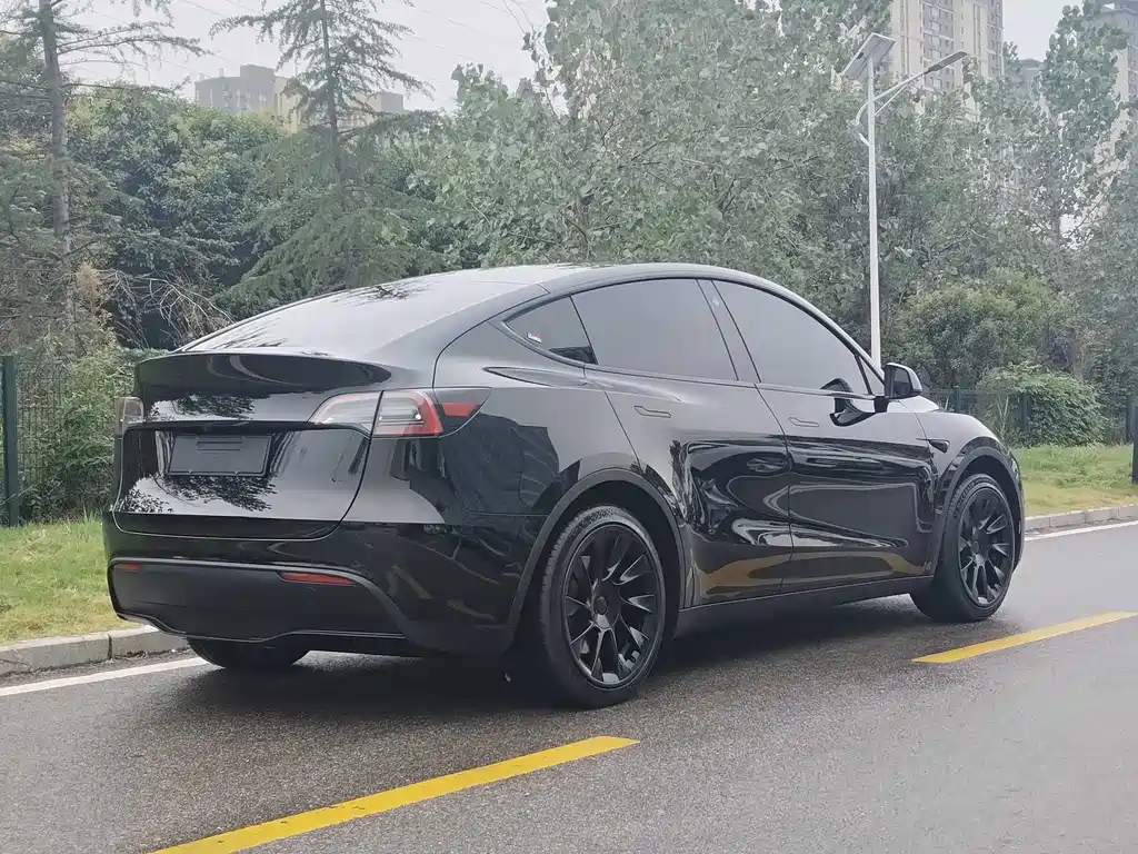 Tesla Model Y — миниатюра 11