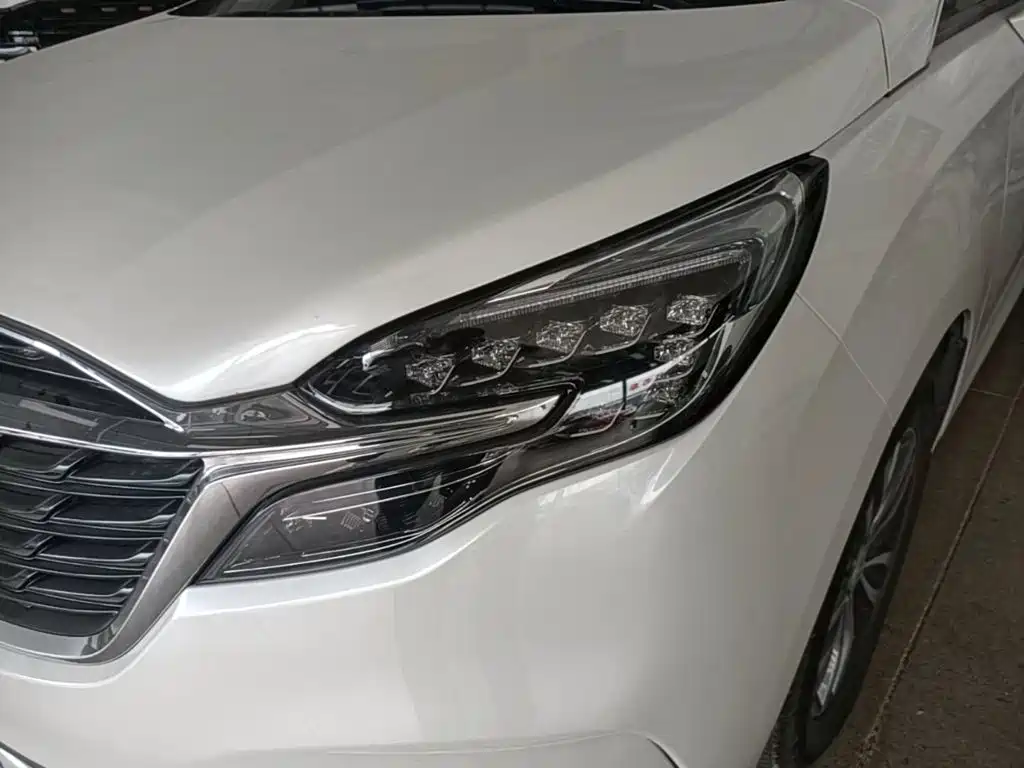 Buick GL8 — миниатюра 24