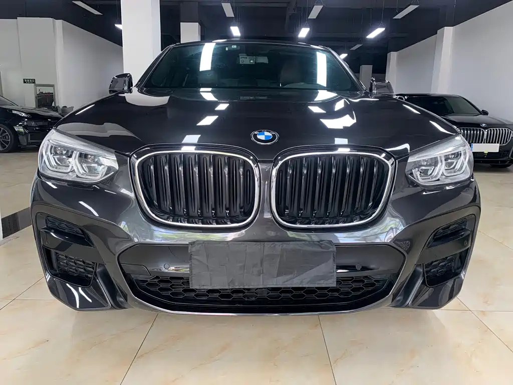 BMW X4 — миниатюра 2