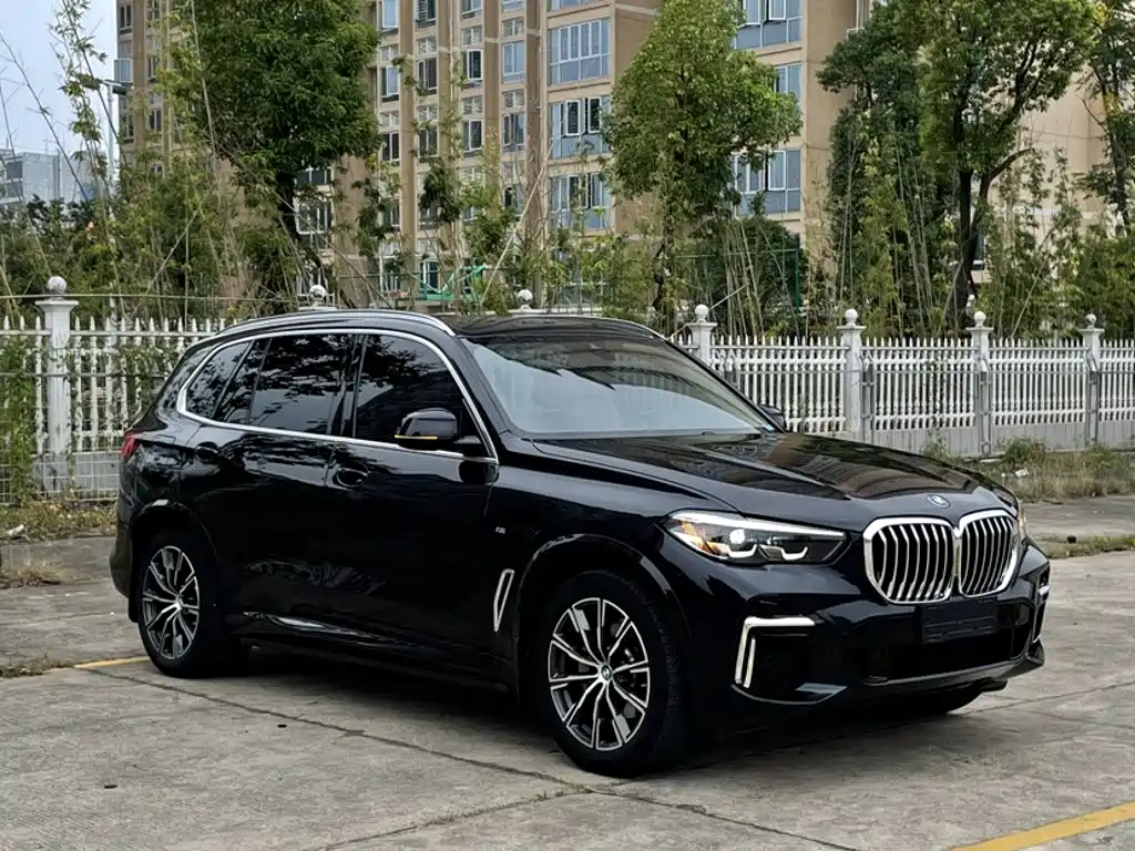 BMW X5 — миниатюра 10