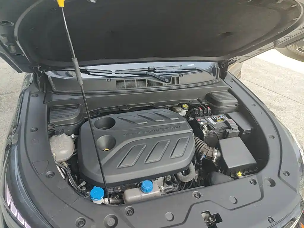 Oshan Oushang X5 PLUS — миниатюра 20