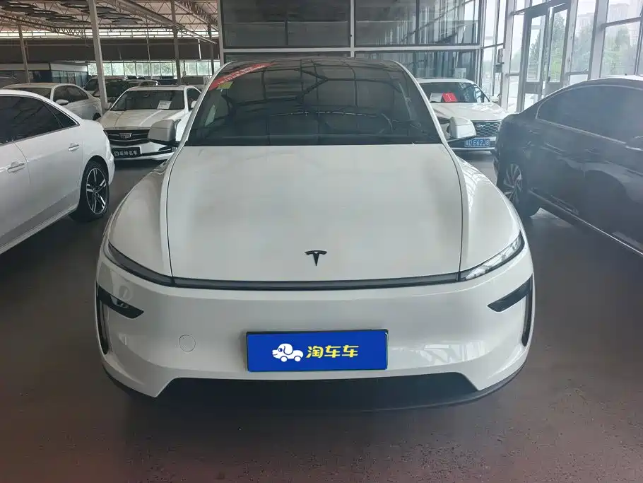 Tesla Model Y — миниатюра 2
