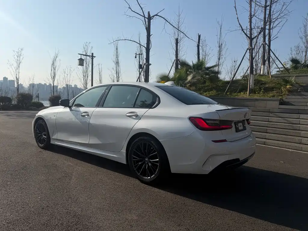 BMW 3 Series 3 2020 325Li M Sport