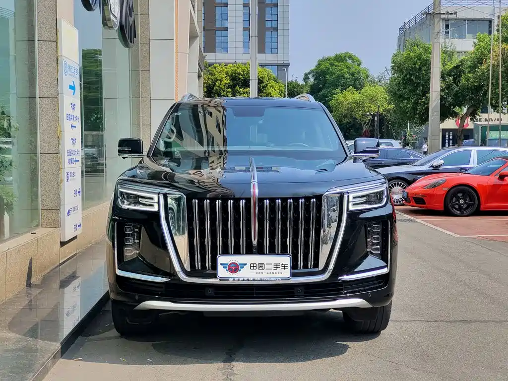 Hongqi Golden Sunflower Guoyao 4.0T Premium Baron Flagship Edition 4 seats, фото 2