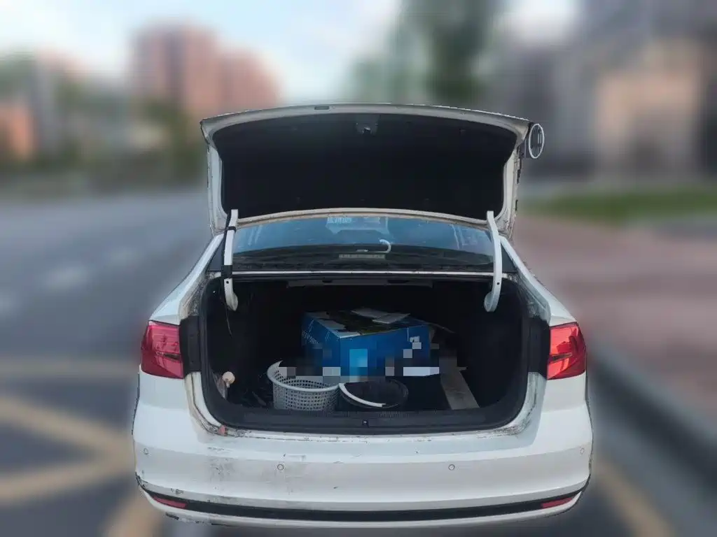 Volkswagen Bora — миниатюра 10