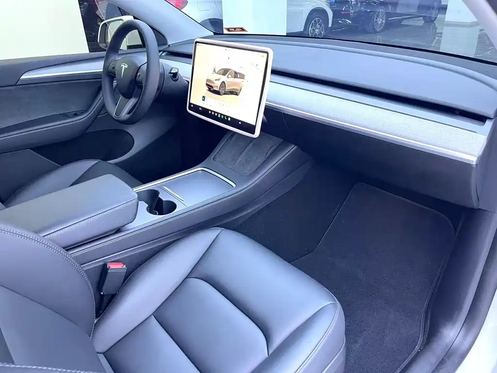Tesla Model Y — миниатюра 10