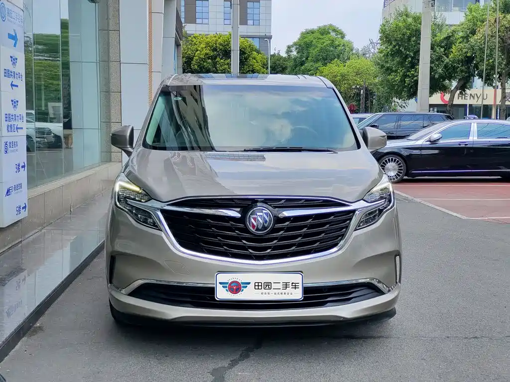 Buick GL8 ES LandKing 653T Comfort Type, фото 2