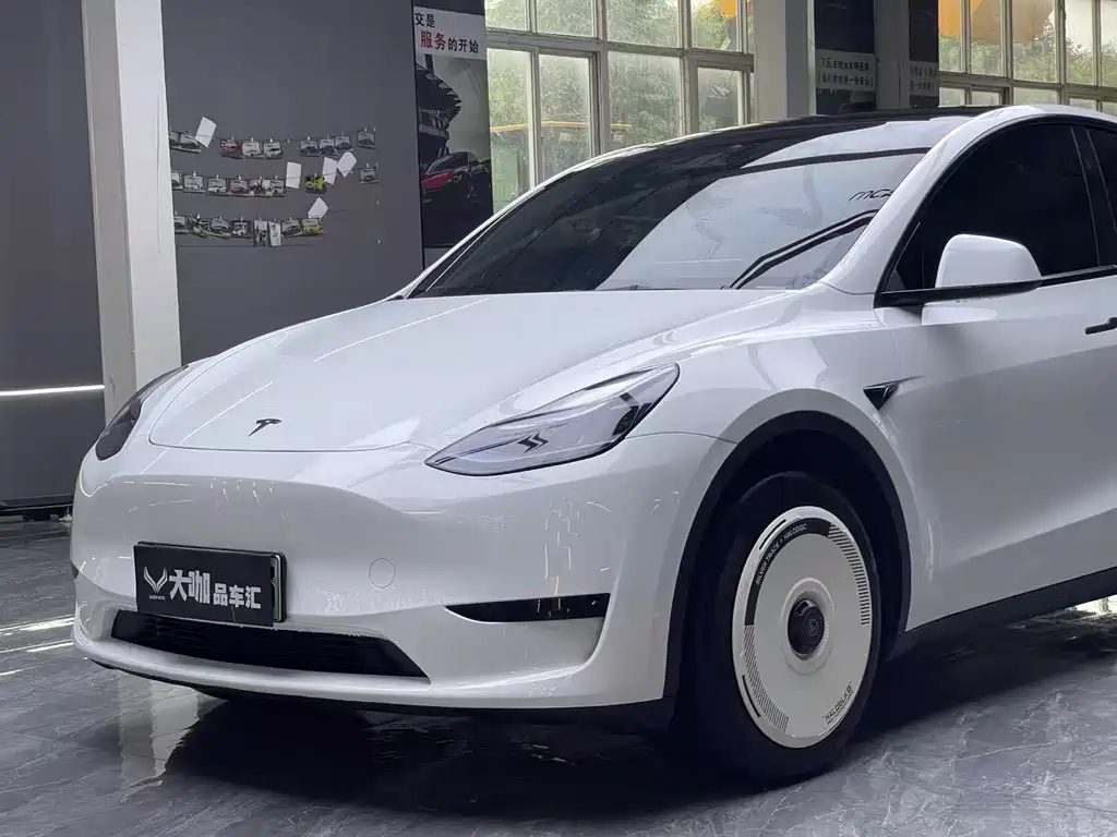 Tesla Model Y — миниатюра 7