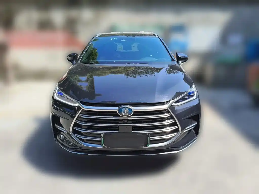 BYD Tang New Energy — миниатюра 2