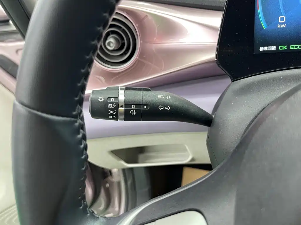 BYD Dolphin — миниатюра 14