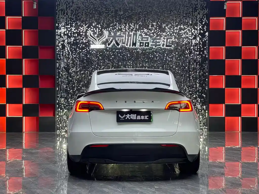 Tesla Model Y — миниатюра 5