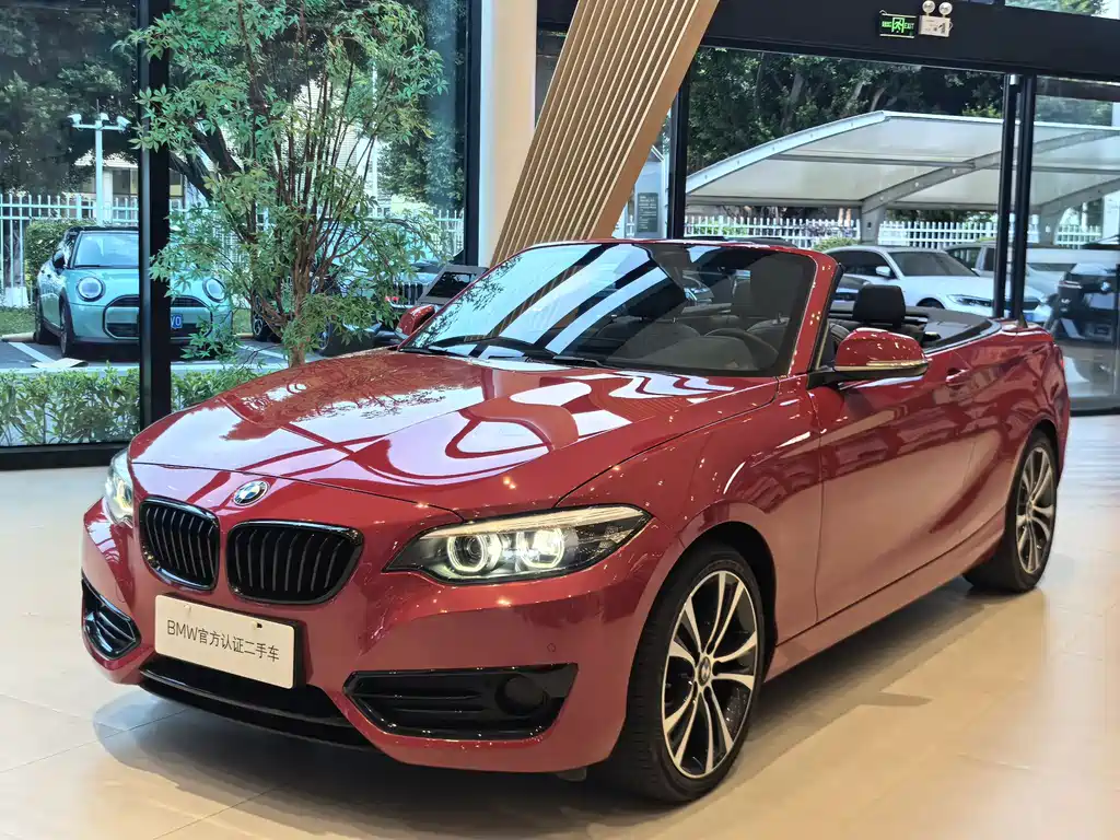 BMW 2 Series (Import) — миниатюра 3