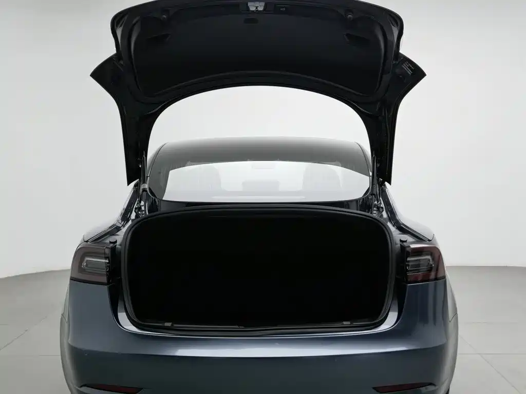 Tesla Model 3 — миниатюра 16