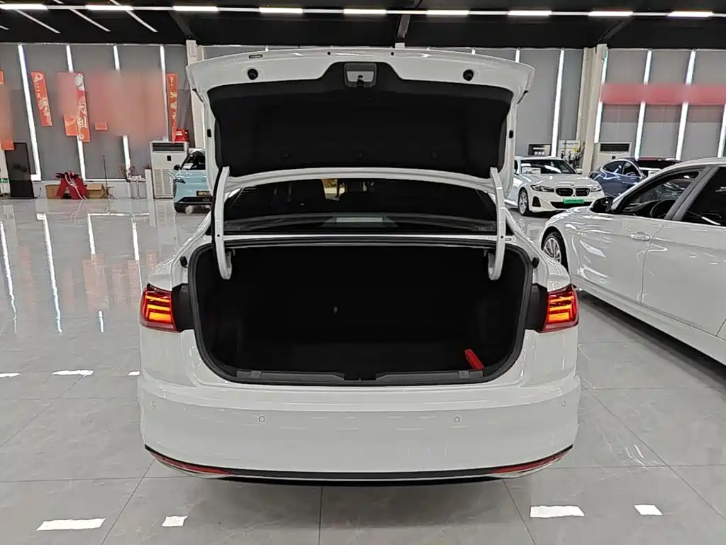 Volkswagen Bora — миниатюра 19