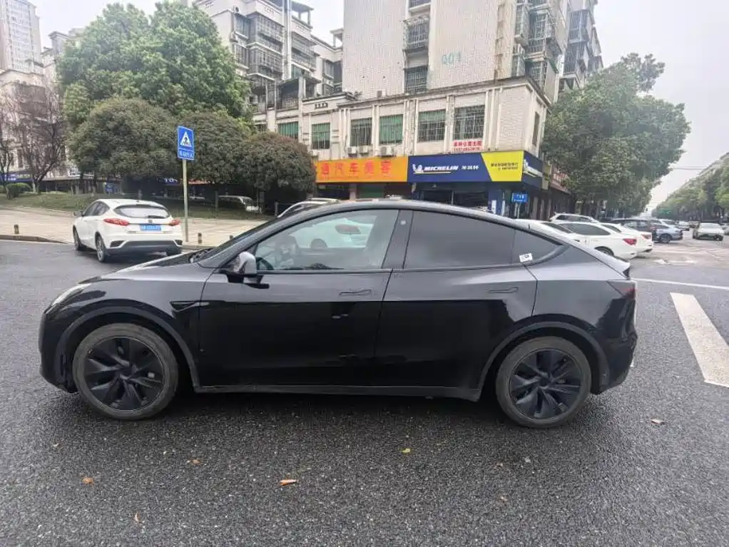 Tesla Model Y — миниатюра 4