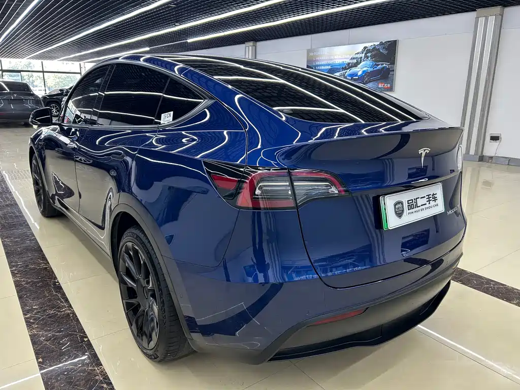 Tesla Model Y — миниатюра 6