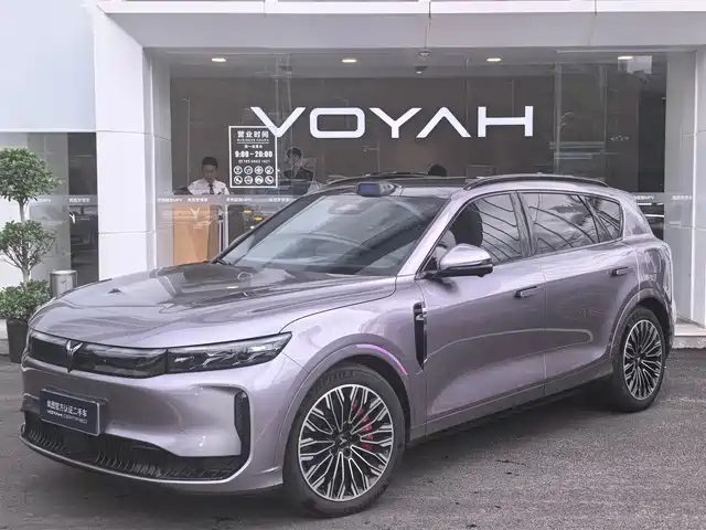 2025 Voyah Free