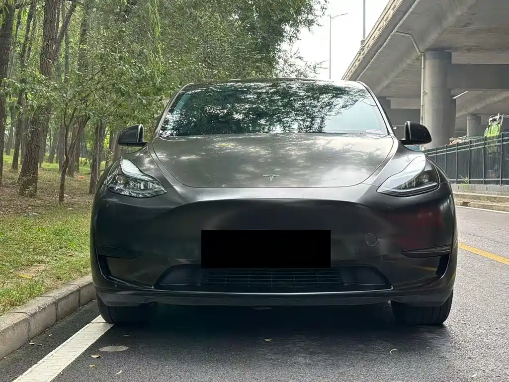 Tesla Model Y — миниатюра 2