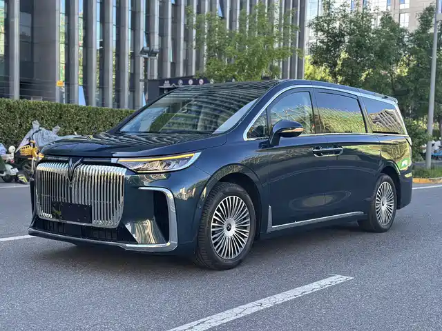 2025 Voyah Dream