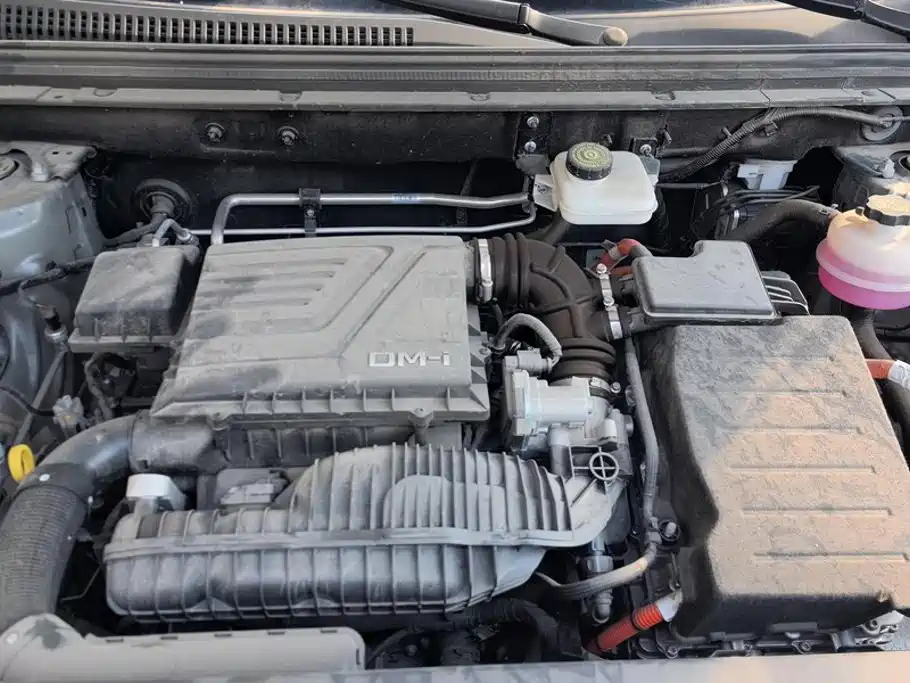 BYD Pro New Energy — миниатюра 10