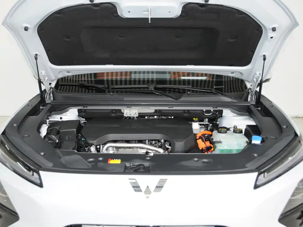 WULING WULING XINGGUANG S