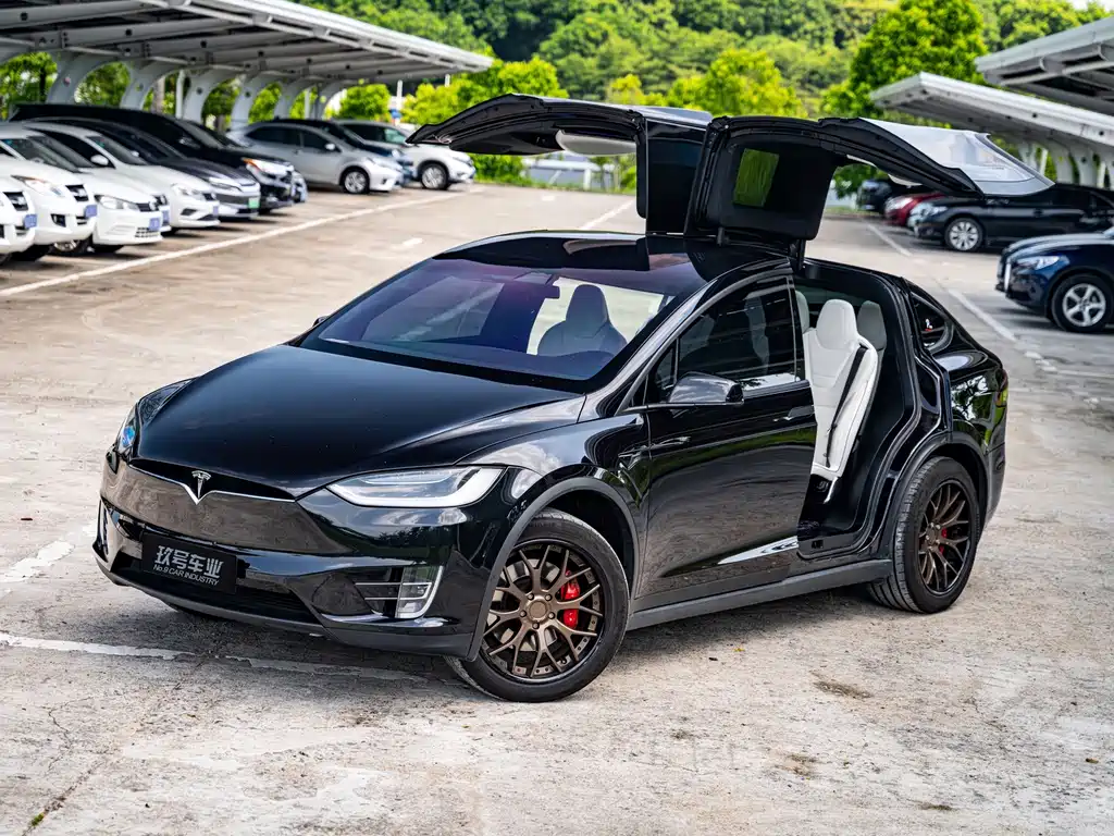 Tesla Model X — миниатюра 9
