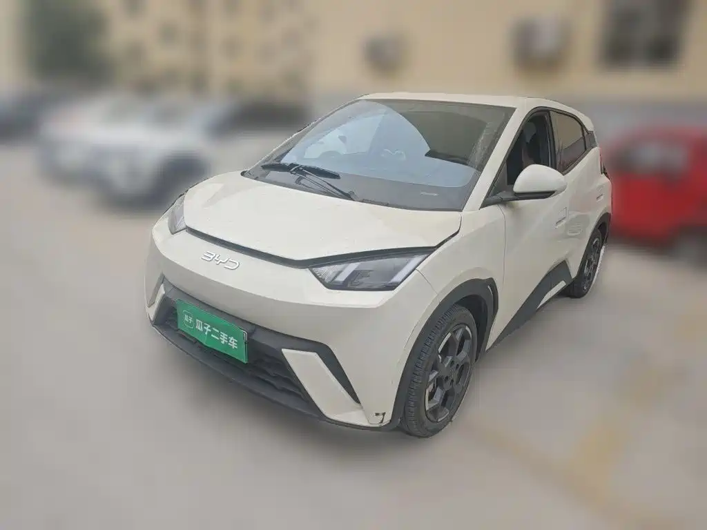 BYD Seagull