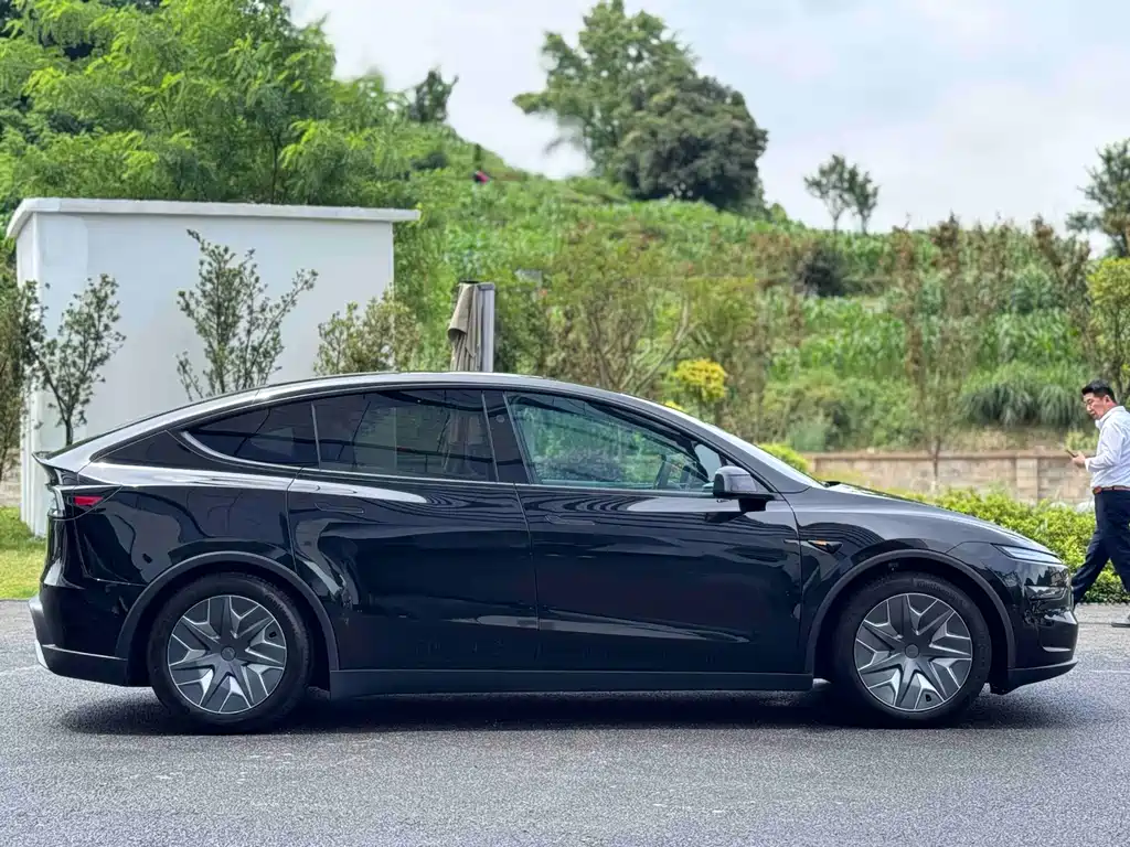 Tesla Model Y L — фотографии объявления, Фото 10