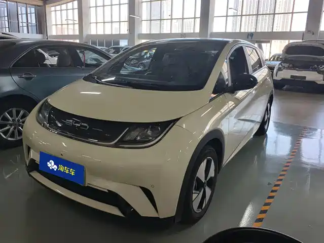 BYD DOLPHIN 2023