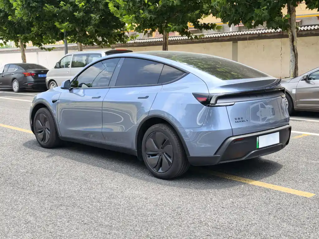 Tesla Model Y — миниатюра 6