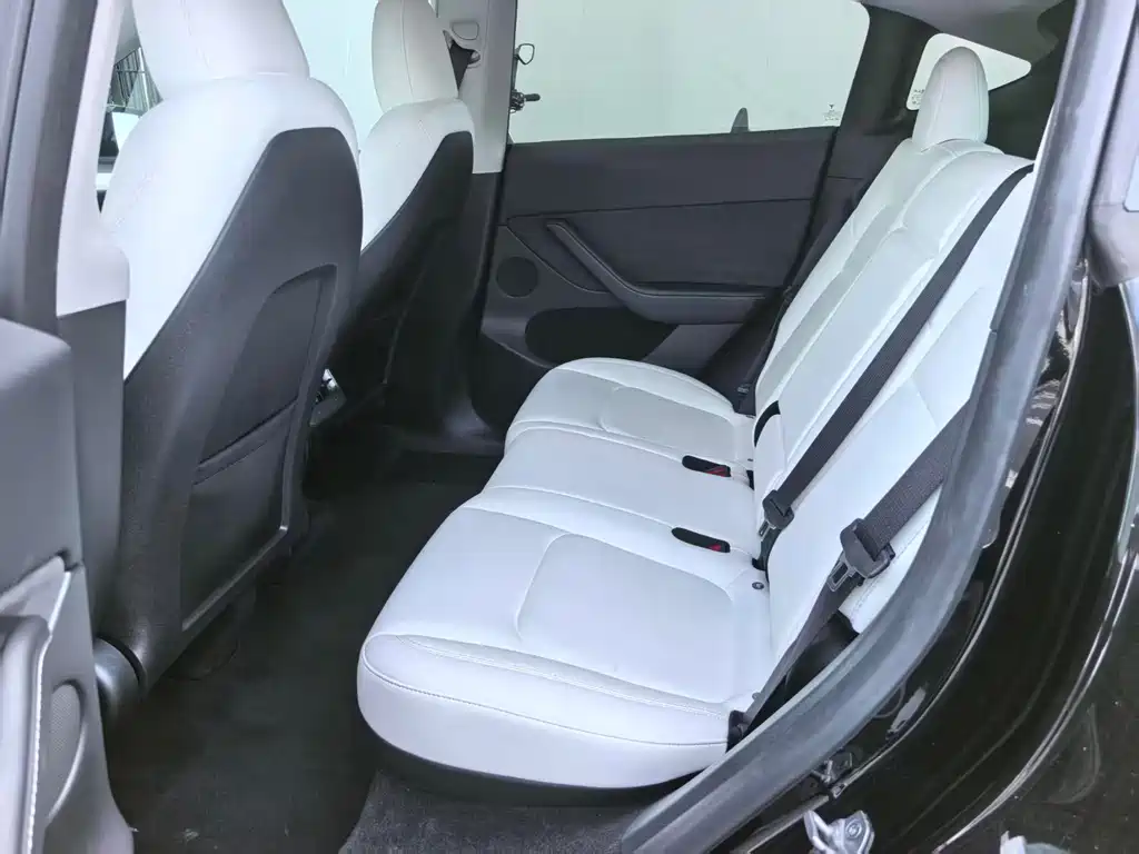Tesla Model Y — миниатюра 3