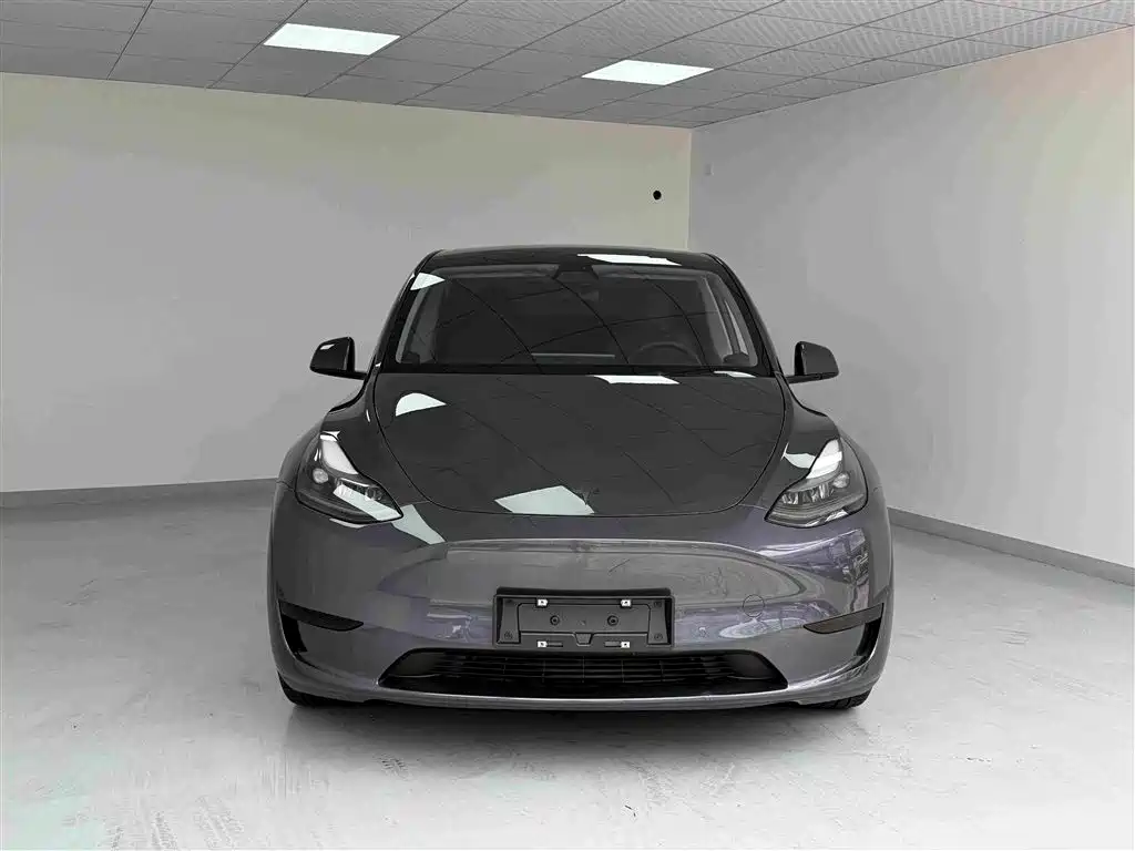 Tesla Model Y — миниатюра 2