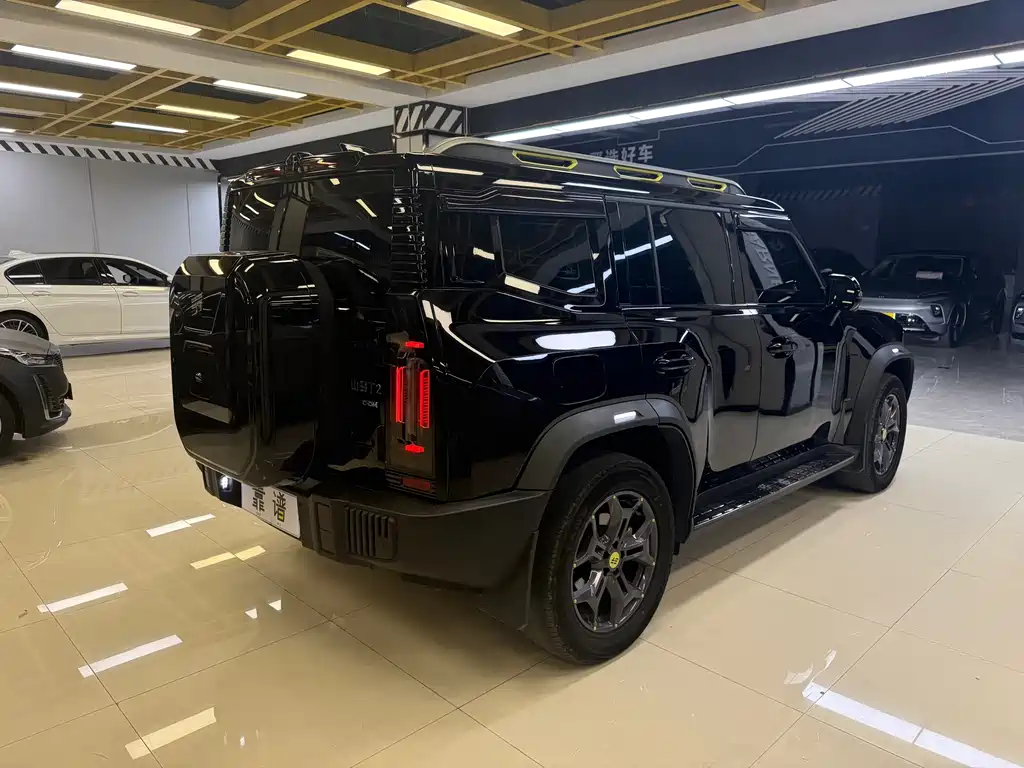 Shanhai Краткосрочный путешественник C-DM — миниатюра 5