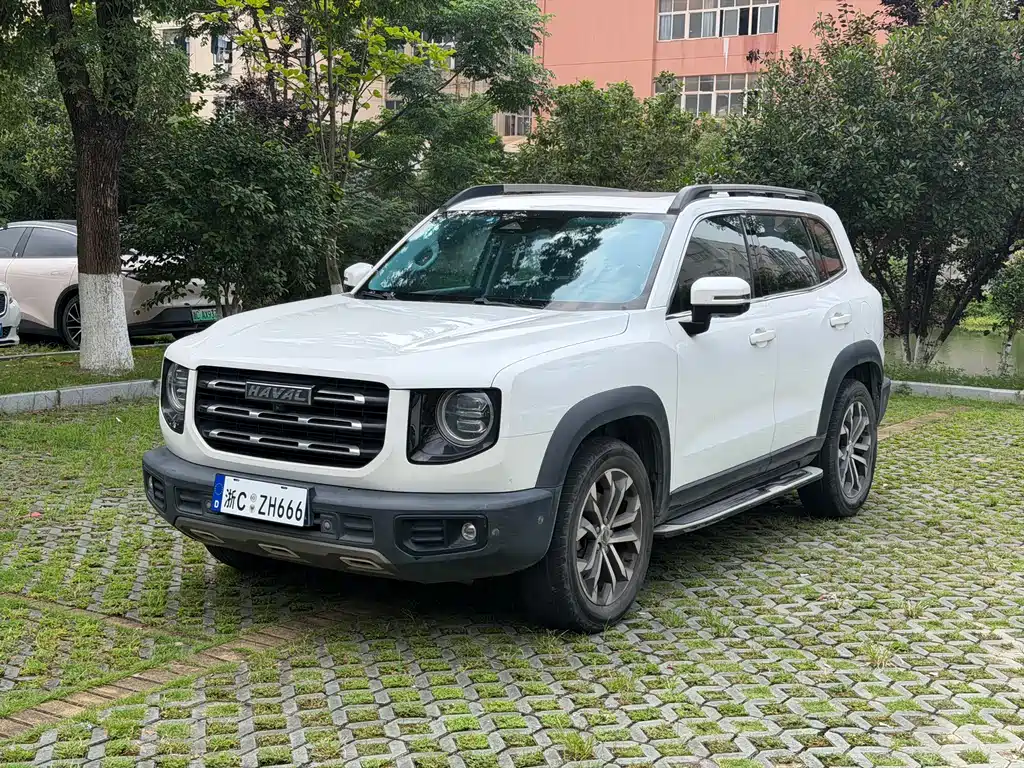 2020 Haval Big Dog - zdjęcie 1 z 16