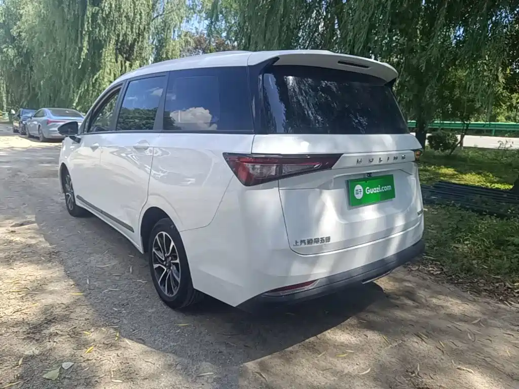 Wuling Jiachen — миниатюра 5
