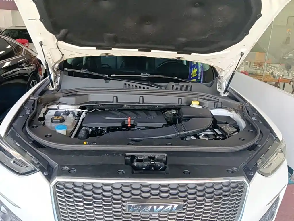 Haval F5 — миниатюра 20