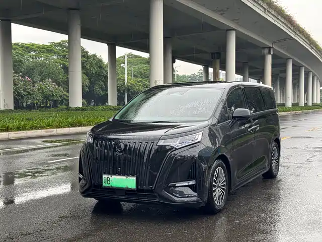 2023 Denza D9