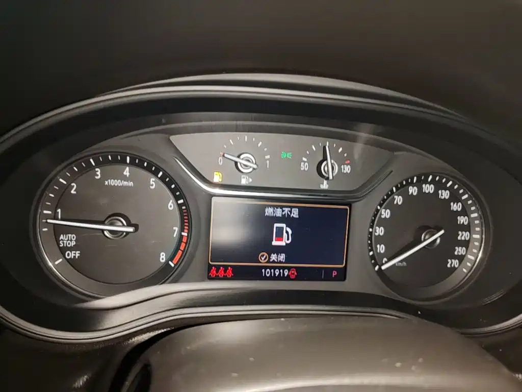 Buick Regal — миниатюра 12